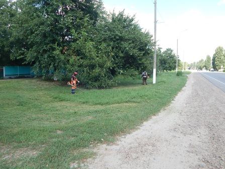 В Тбилисской продолжают бороться с сорной растительностью