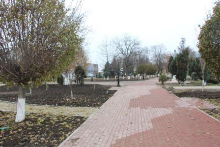 В Тбилисской в парке имени сотника Андрея Гречишкина создают цветочный фонтан