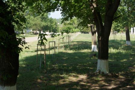 Алексее-Тенгинское с/п