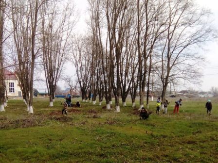 В Ванновском поселении более 350 человек вышли на субботник