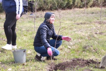 В станице Геймановской высадили «Сад памяти»