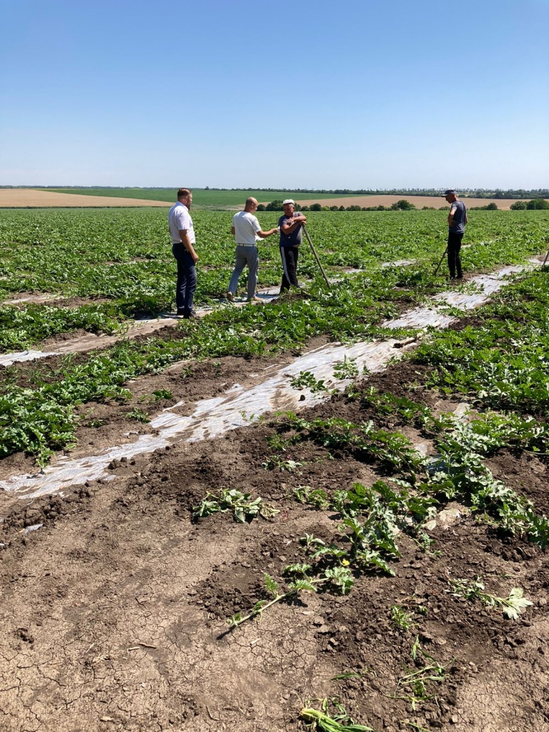 PHOTO-2022-06-30-11-37-28 (1).jpg