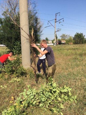 В Тбилисской провели субботник