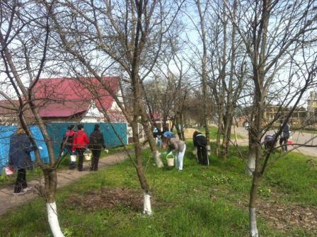 В Тбилисском районе продолжаются работы по наведению порядка