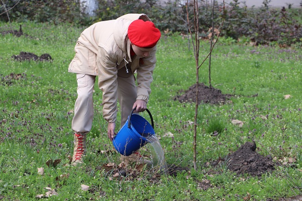 Сады Памяти высадили в двух станицах Тбилисского района