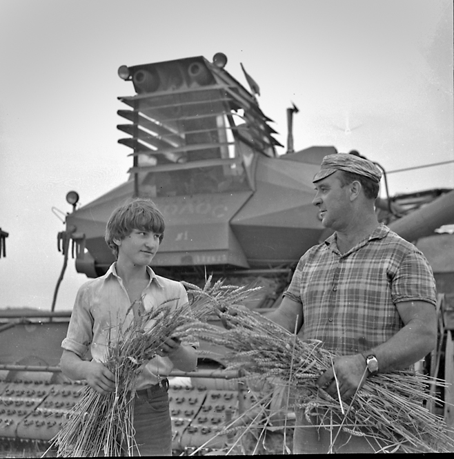 1983 год. Уборка урожая в колхозе Кавказ