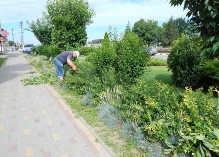 В станице Тбилисской