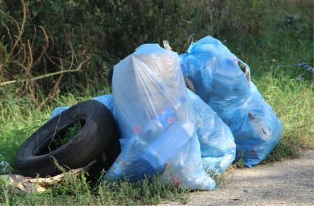 В Тбилисском парке культуры и отдыха имени Симикина провели субботник