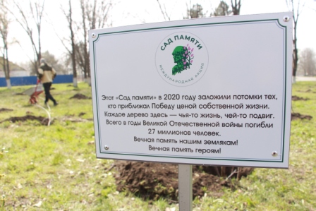 В станице Геймановской высадили «Сад памяти»