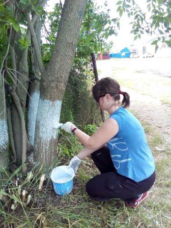 Большая уборка состоялась в Тбилисской и хуторе Северин 