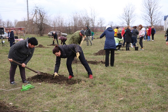 «Сад памяти» заложили в станице Ловлинской