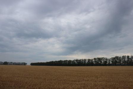 Объезд сельхозугодий района