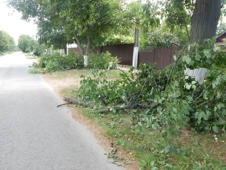 Рабочие будни в Тбилисской