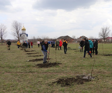 «Сад памяти» заложили в станице Ловлинской