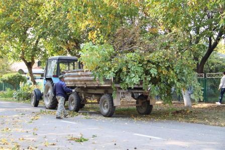 Улицы Тбилисской приводят в порядок