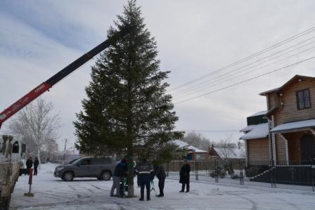 В селе Ванновском установили новогоднюю ель