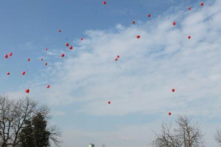 В Тбилисском районе прошел флеш-моб «Мы вместе!»