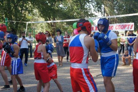 Тбилисцы выбирают спорт