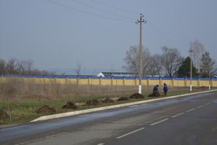 В хуторе Шевченко прошел субботник