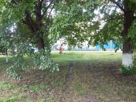 В Тбилисской продолжают бороться с сорной растительностью