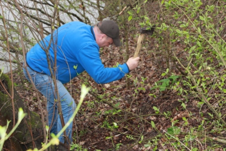 В Тбилисском районе проходит Всекубанский субботник
