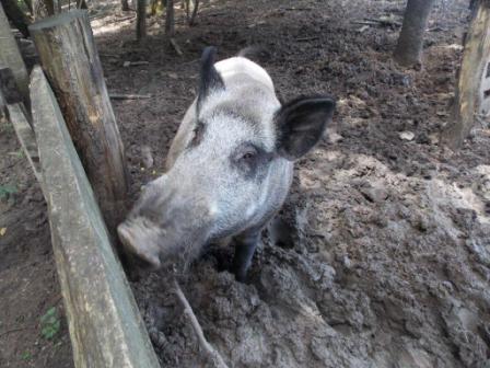 Поход в 145 км