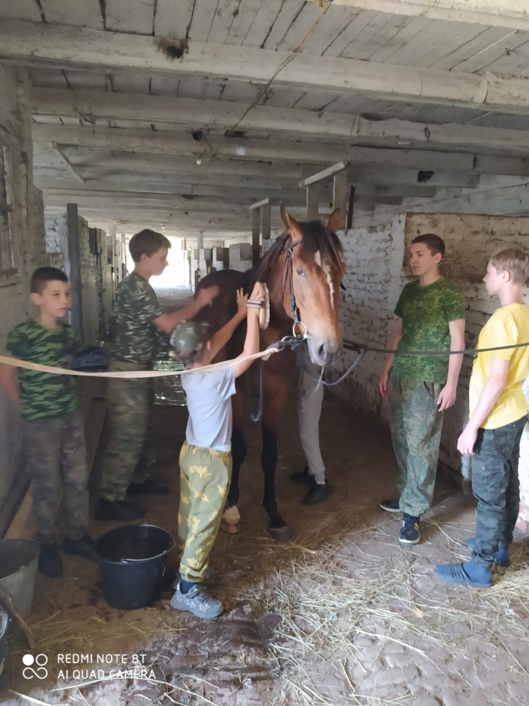 WhatsApp Image 2022-06-21 at 09.51.44.jpeg