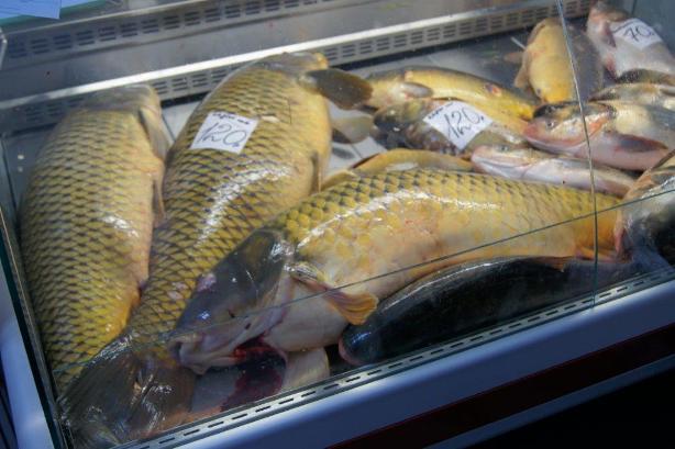 Кубанская ярмарка 