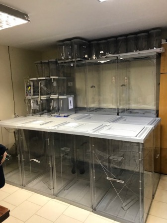 Инвентаризация имущества