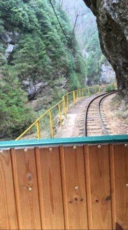 В поселоке Псебай Мостовского района