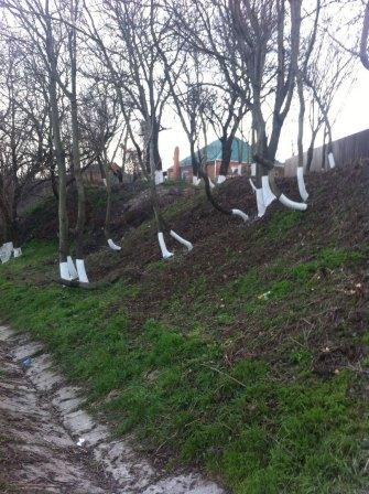 Тбилисская становится все краше