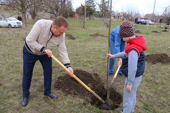 «Сад памяти» заложили в станице Ловлинской