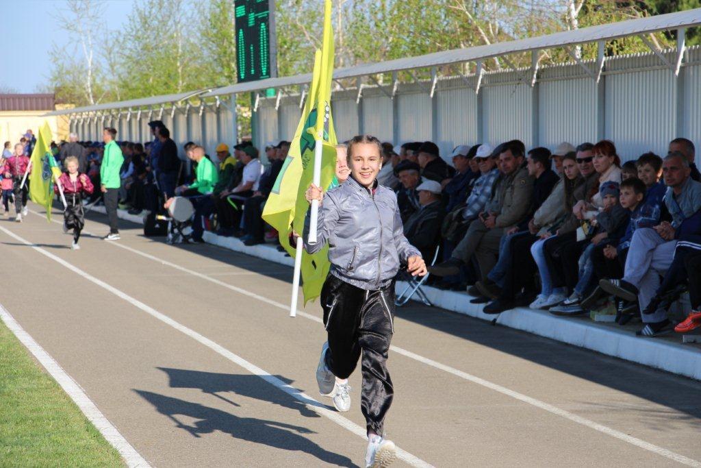 Погода в тбилисской на неделю