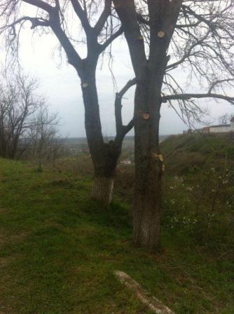 На улице Астаховской подготовили территорию для благоустройства