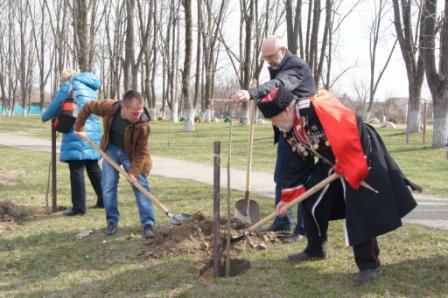 В Тбилисском районе к юбилею Великой Победы высадили липовую аллею