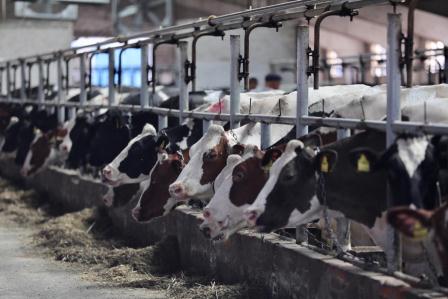 Ферма №2 ЗАО им. Т.Г. Шевченко