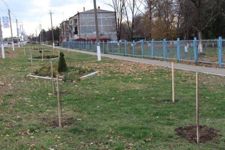 В Тбилисской высадили 19 берез