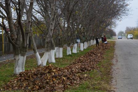 В Ванновском поселении провели субботник