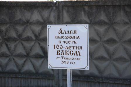 В Тбилисской высадили аллею лип