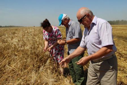 Уборка ячменя в Тбилисском районе идет полным ходом