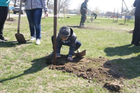 На улице Казачьей заложили аллею, посвященную 70-летию Победы в Великой Отечетвенной войне