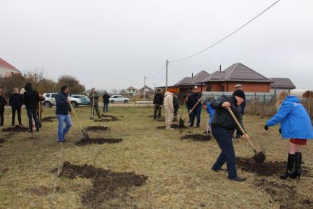 В Тбилисской заложили аллею в честь 30-летия вывода советских войск из Афганистана