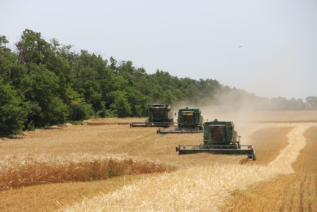 В Тбилисском районе начали убирать озимый ячмень
