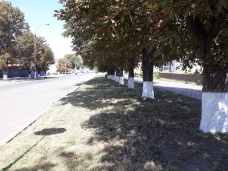 В Тбилисской на улице Первомайской навели порядок