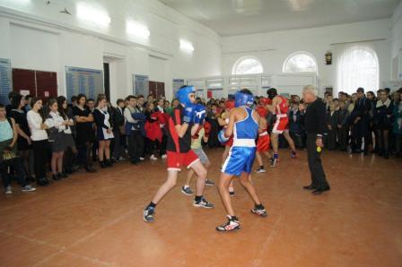 Фестиваль единоборств прошел в Тбилисском районе