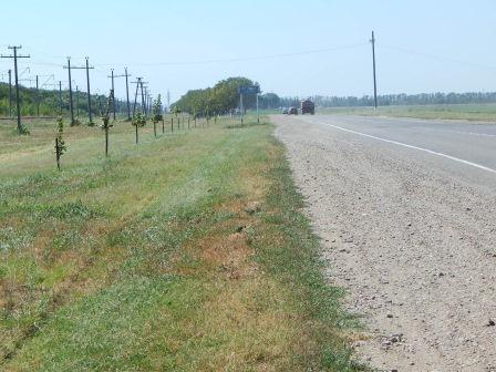 Наведение порядка на придорожных территориях