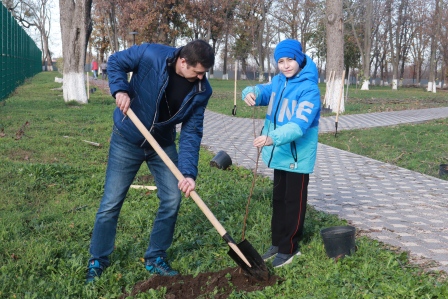 Более 160 саженцев деревьев высадили в Тбилисском районе