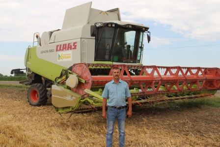 В Тбилисском районе начали убирать пшеницу