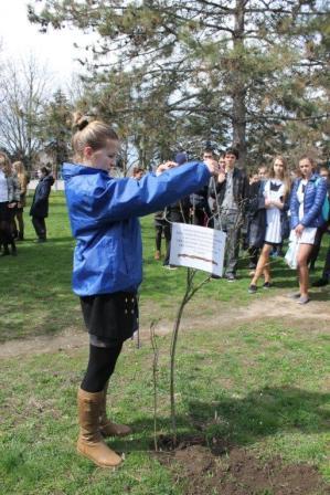 акция &laquo;Главная сирень Победы&raquo;