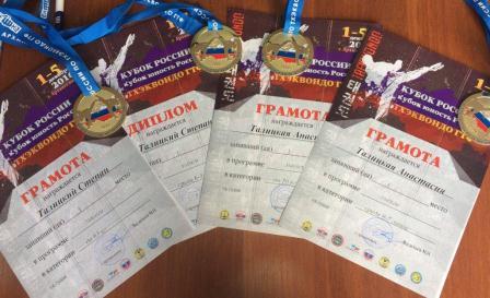 Тбилисские тхэквондисты покоряют новые вершины